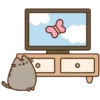 وقت التلفاز