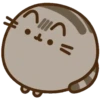 وجه مستدير
