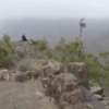 المشي لمسافات طويلة 🥾 (sxktwqfr97)