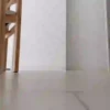 القنافذ لطيف (2jhzv3b58t)