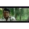 Mallu-gif (t5p3d8zv6k)