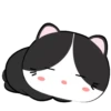 🐱Baby tuxedo cat 7🐾 (dmnhjcbtkp)