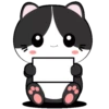 🐱Baby tuxedo cat 7🐾 (sfqygmrdhj)
