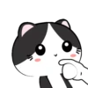 🐱Baby tuxedo cat 7🐾 (m9pybxc5wh)