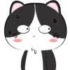 🐱Baby tuxedo cat 7🐾 (zpqb4287mv)