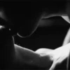 Shadowed Whisper