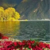 مناظر طبيعية جميلة 1 (5ysrc9tdv6)