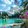 مناظر طبيعية جميلة 1 (3q8w5cmhbx)