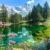 مناظر طبيعية جميلة 1 (wz2m4f53tq)