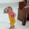 Monky reacciones  (z84q6yjngv)