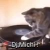 Funny Cats 🐱🐈‍⬛ (jxngw3ybsc)