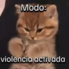 Funny Cats 🐱🐈‍⬛ (pjz26mw3fc)