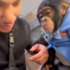 Monky reacciones  (vfn2jpbwcd)