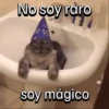 Funny Cats 🐱🐈‍⬛ (6dqcy2mjk9)