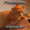 Funny Cats 🐱🐈‍⬛ (9dq2hvfb4j)