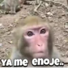 Monos traviesos  (m2ycs4wgnd)