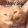 Funny Cats 🐱🐈‍⬛ (6x82vf4tqd)