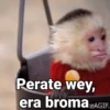 Monos con Frases 2🐒✨ (tsphk6z5b8)