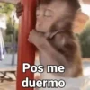 Monos con Frases 2🐒✨ (hrg5pkqzt6)
