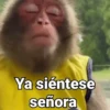 Monos con Frases 2🐒✨ (yjt8f3dswq)