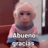Monos con Frases 2🐒✨ (2gvkd6hbnq)