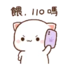 Kucing imut (zg6fkwt7c3)