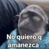 Monos con Frases 2🐒✨ (y8kmwqdcfr)