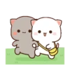 القطط Mochis (chqtk2wjmr)