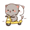 القطط Mochis (q4zp8vx32j)