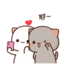 القطط Mochis (3hdjkyz7vt)