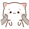 القطط Mochis (9swymgzch5)