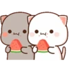 القطط Mochis (35yhvn9wpq)