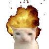 أفضل ما في SHITPOST (k7qbvnjwf3)
