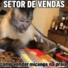🐒 Pra mandar no trabalho (pxf4j8zt3h)