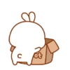 Cute teddy 🤩 (qzx3mjpbys)
