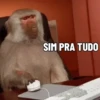 🐒 Pra mandar no trabalho (xj5zfsr28q)