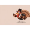 Thanksgiving día de gracias 🦃🍂 (s76f4t2bpk)