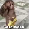 🐒 Pra mandar no trabalho (j6fysk935w)