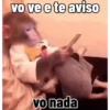 🐒 Pra mandar no trabalho (pjvgxh9qf3)