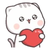 Cute teddy 🤩 (62kjmzhfty)