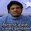 💙 Ludovico Peluche 📺 Frases (hcnd4xjqf7)