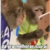 🐒 Pra mandar no trabalho (mhnkj74zgd)