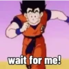 Dragonball (qm9d6c3yzb)