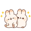 cuddle rabbit