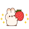 cuddle rabbit (qbk659whmx)