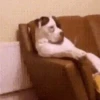 كسل الأريكة
