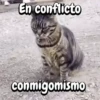 Perros y gatos divertidos🐾🐾🐾 (8s2bjrd97p)