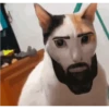 قط ذو لحية