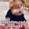 Monos con Frases🐒✨ (bxp2cj3ds8)