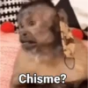 Monos con Frases🐒✨ (3x2qymtv5h)